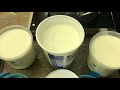 Simple home made yogurt from expired milk