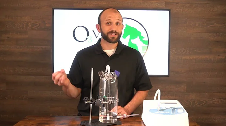 Veterinary Ozone Fluid Bubbler - Setup and Operation