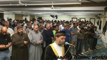 الشيخ حسن صالح  سورة القلم