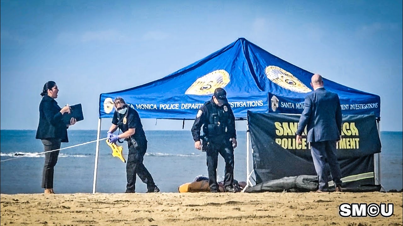 Woman Found Dead on Santa Monica Beach: Homicide Investigation Underway ...