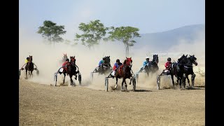 Рисисти коне „летяха“ по терен на бившето летище „Бършен“,  VI състезателен ден от календара на БАРК