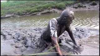 River Mud