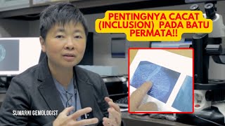 Download Lagu ARTI INCLUSION PADA BATU PERMATA MP3