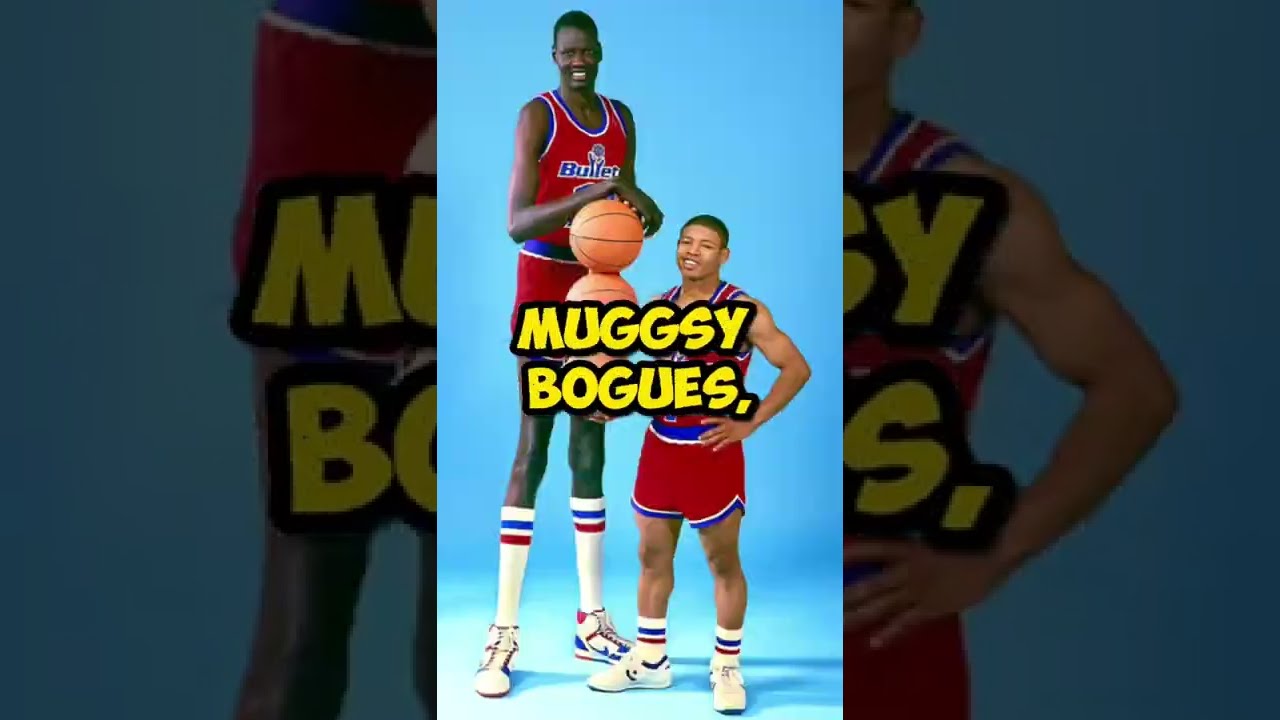 That's 5'3 Mugsy Bogues going for the dunk, tho he never dunked in his  career games. : r/NBAForums