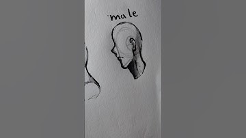 How to Draw Heads (Side View) - Tutorial #drawing #art #head #tutorial #howtodraw #shorts