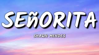 shawn mendes - Señorita ( lyrics )