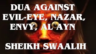 Dua against Evil-Eye, Nazar, Envy, Al Ayn | Sheikh Swaalih by Din Newsletter 901 views 8 months ago 54 minutes