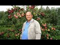 Ученый из Мичуринска создал образцовое плодово-ягодное предприятие