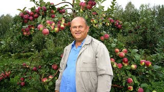 Ученый из Мичуринска создал образцовое плодово-ягодное предприятие