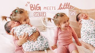 toddler meets her baby sister for the FIRST TIME! *cutest reaction ever*