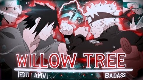 Willow Tree - NISHIX