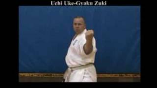 Shotokan Karate Video Basic Block Punch Combination screenshot 5