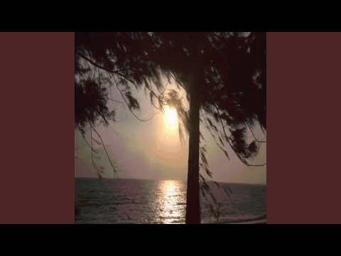 lying has to stop (clairo) (sped up)