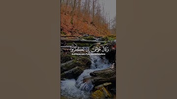 اكتب شئ تؤجر عليه | القارئ الشيخ  ماهر المعيقلي #القرآن_الكريم #قرآن