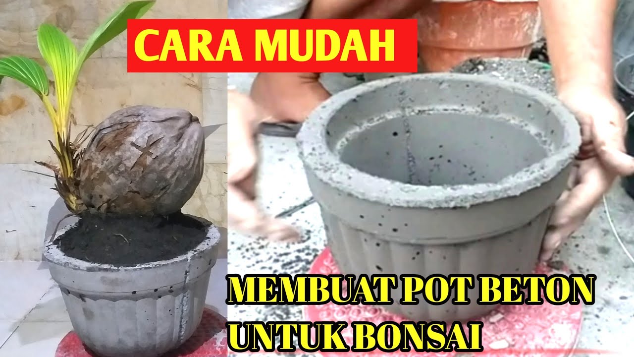 Cara membuat pot  bunga  bahan beton cetakan  plastik 