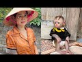 Mom was touched when she saw little monkey tina sitting obediently waiting for her