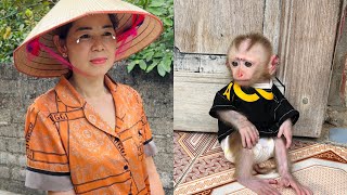 Mom was touched when she saw little monkey Tina sitting obediently waiting for her