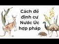 Tất cả các cách để định cư Úc hợp pháp