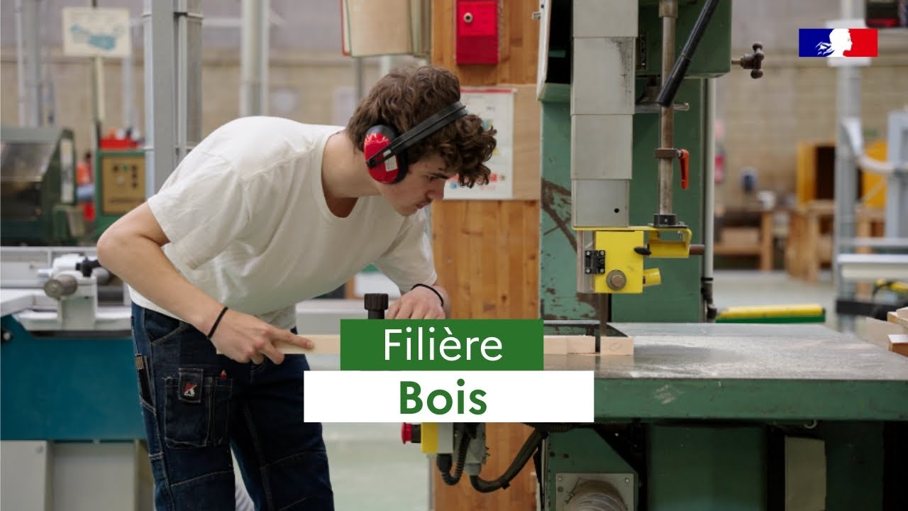 Bois : la filière professionnelle en Normandie