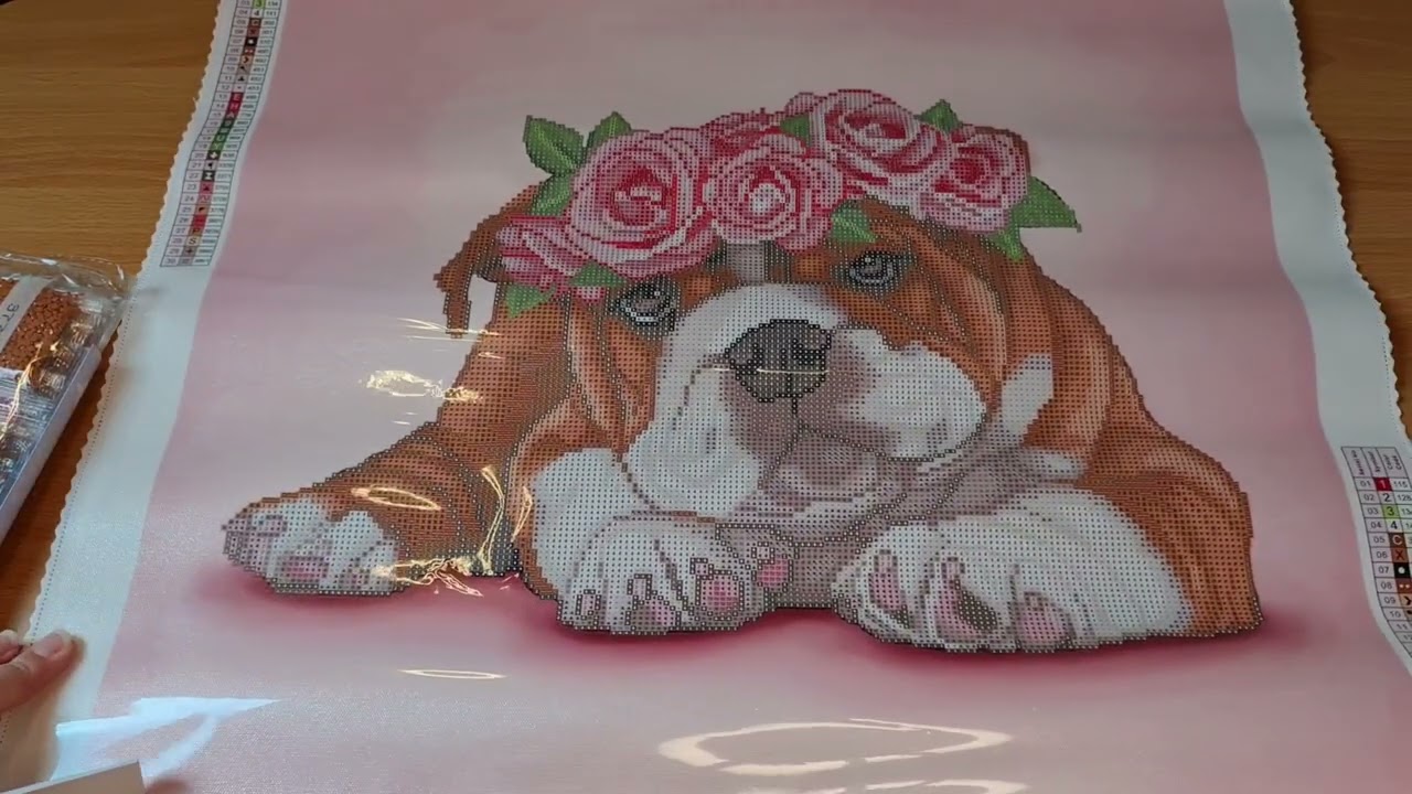 Unboxing DAC  / Bouledogue et roses