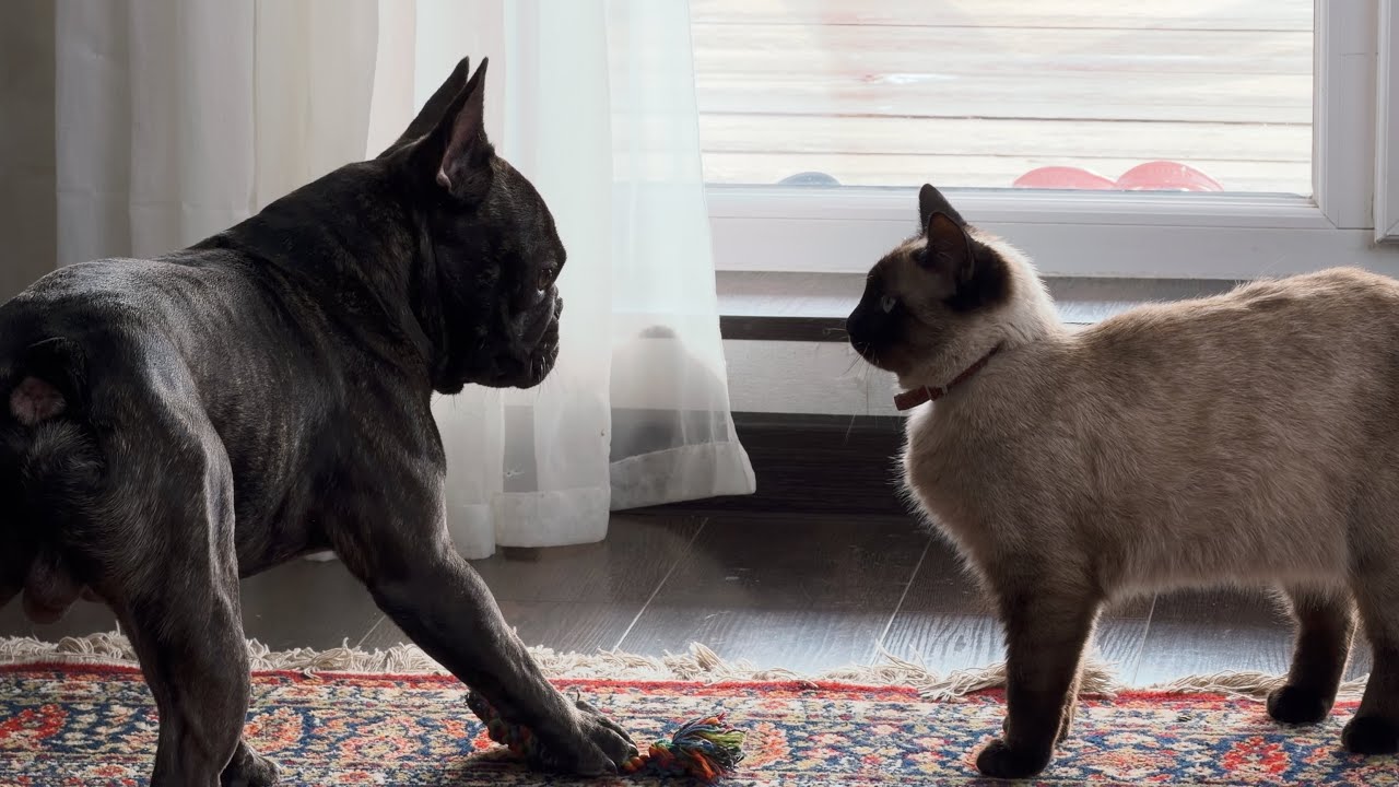 Часть 51. Так и живем