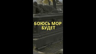 Боюсь мор будет