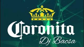 Lépegetős Coronita Mix 2024 Április - Dj Bacsa