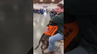 Allowing Adopted Dogs To Pick Their New Owners.