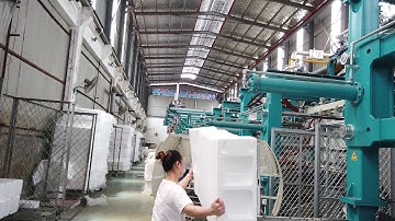 EPS shape molding machine working video for packaging