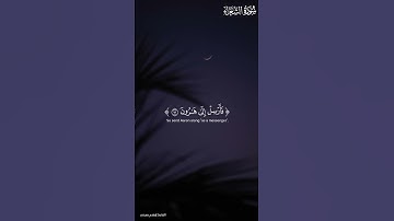 راحة نفسية 😌💚 #قرآن #تلاوة_خاشعة #اكسبلور #راحة_نفسية #quran #explore #fyp #fypシ゚viral #اسلام_صبحي