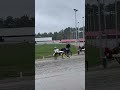 Little Guy qualifying race 2026.