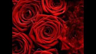 Алла Пугачева - Миллион Алых Роз_ Million of Scarlet Roses