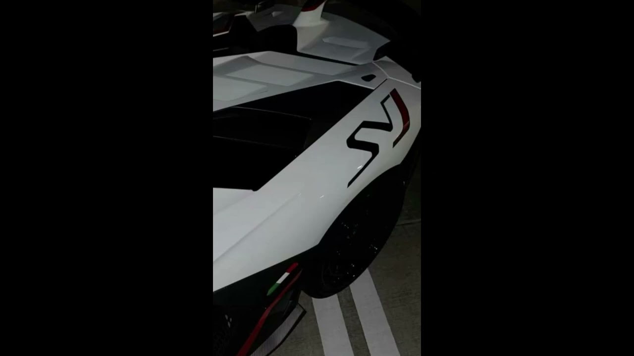 Dear Bruce x Bipolar + SVJ V12 Sounds