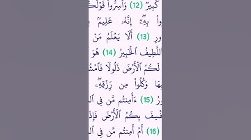 #اكسبلور #المصحف #القرآن_الكريم #القزابري #تيك_توك #duet #تلاوات #القرآن #دويتو #راحة_نفسية