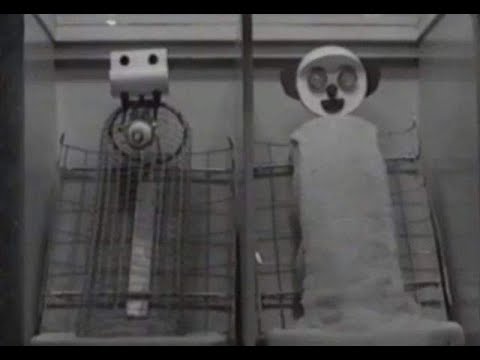 【30秒心理學】【哈洛的猴子】依附理論