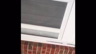 Can I use your Wifi password prank? screenshot 5