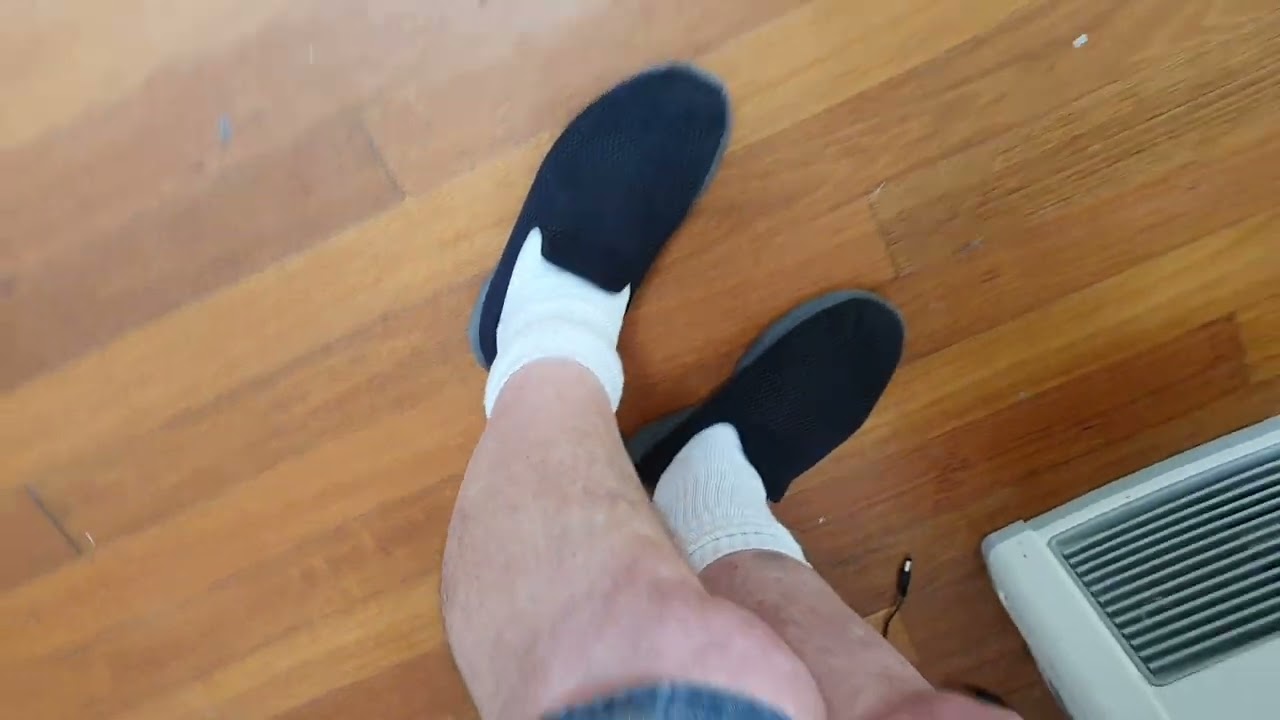 A1 Pest Control Manly End of Lease Flea Treatment