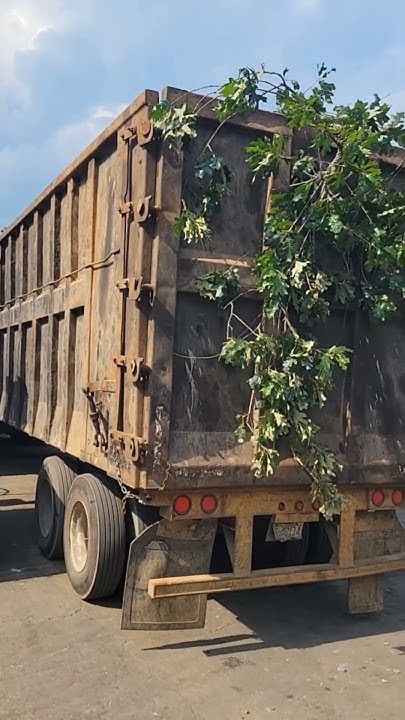 How Much Is Scrap Wood Worth Scrap Life scraplife scrapyard how-much-is-scrap-wood-worth-scrap-life-scraplife-scrapyard
