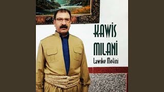 Haylo Delal