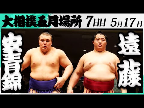 相撲 遠藤関 反物 甚平 f_18997592.jpg