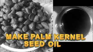 Palm Kernel Seed Oil