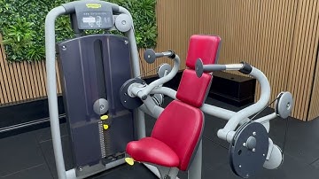 TECHNOGYM SELECTION PERSONAL ARM EXTENSION