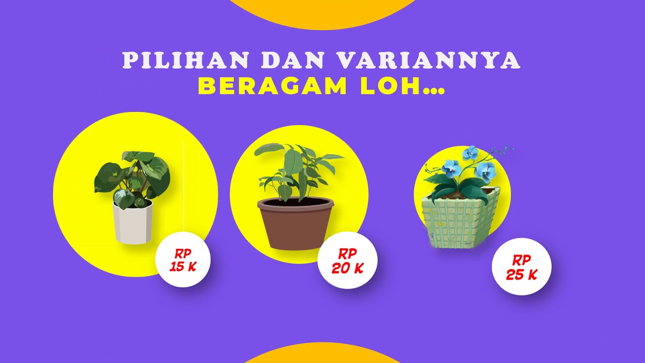 Video Promosi Terrarium Tanaman Hias Tanaman Kaktus Herbarium Promo Iklan Online 2021 Lemban Youtube Video Promosi Terrarium Tanaman Hias Tanaman Kaktus Herbarium Promo Iklan Online 2021 Lemban Youtube