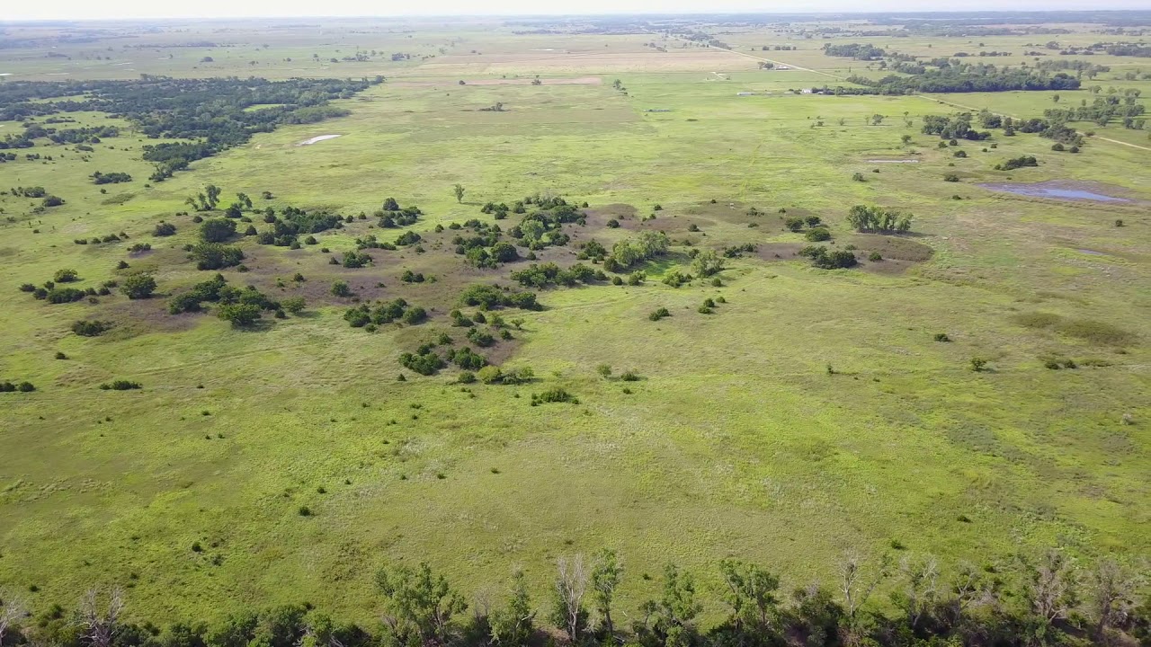 Irons Family Farms, LLC October 19, 2017 YouTube