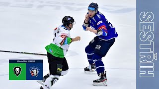 BK Mladá Boleslav - HC Škoda Plzeň | SESTŘIH, 25.kolo TELH 2022/23, 1.12.2022