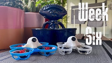 IGOW3 - Week 6, Powerloop and Immelmann