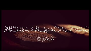 سورة يوسف آيات من 86 : 96 | القارئ وديع اليمني