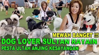 DOG LOVER SULTAN PESTA MEWAH ULTAH ANJING KESAYANGAN  ARKEN 1ST BARKDAY  JAMES BOND 007