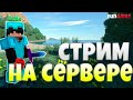 ОТКРЫЛ СВОЙ СЕРВЕР MINECRAFT | ТУРНИРЫ | РОЗЫГРЫШИ | FunGrief | SunRise | MST | ReallyWorld