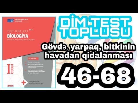 Video: Çəmən Yonca (46 şəkil): çəmən Yonca, Mikroklover, Ağ Və Qırmızı, çəmən Və Ya Ot Yerinə Digər Növlərin Müsbət Və Mənfi Cəhətləri, Rəylər